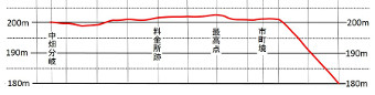 ʐ^g