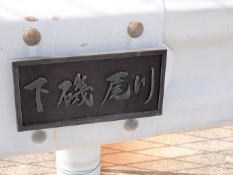 ʐ^g