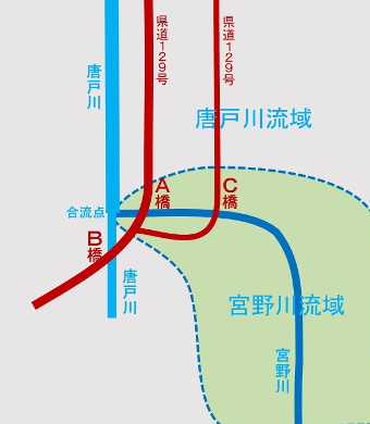 ʐ^g