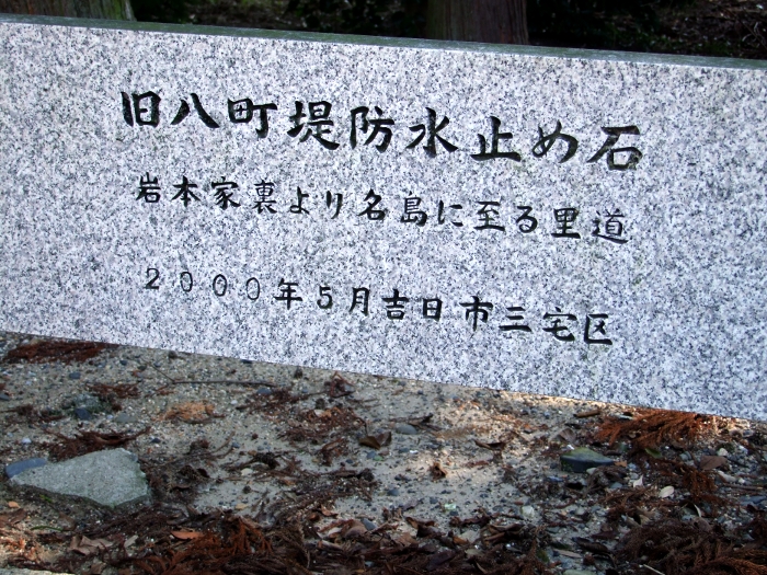 ʐ^g