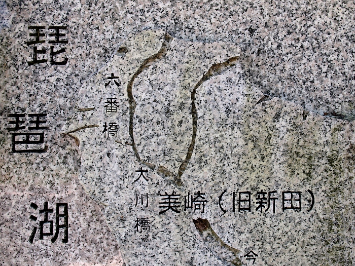 ʐ^g